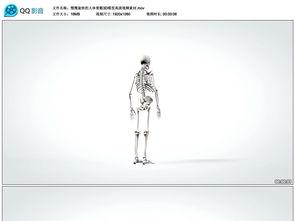 人体模型最新爆料视频,科技与艺术的完美融合